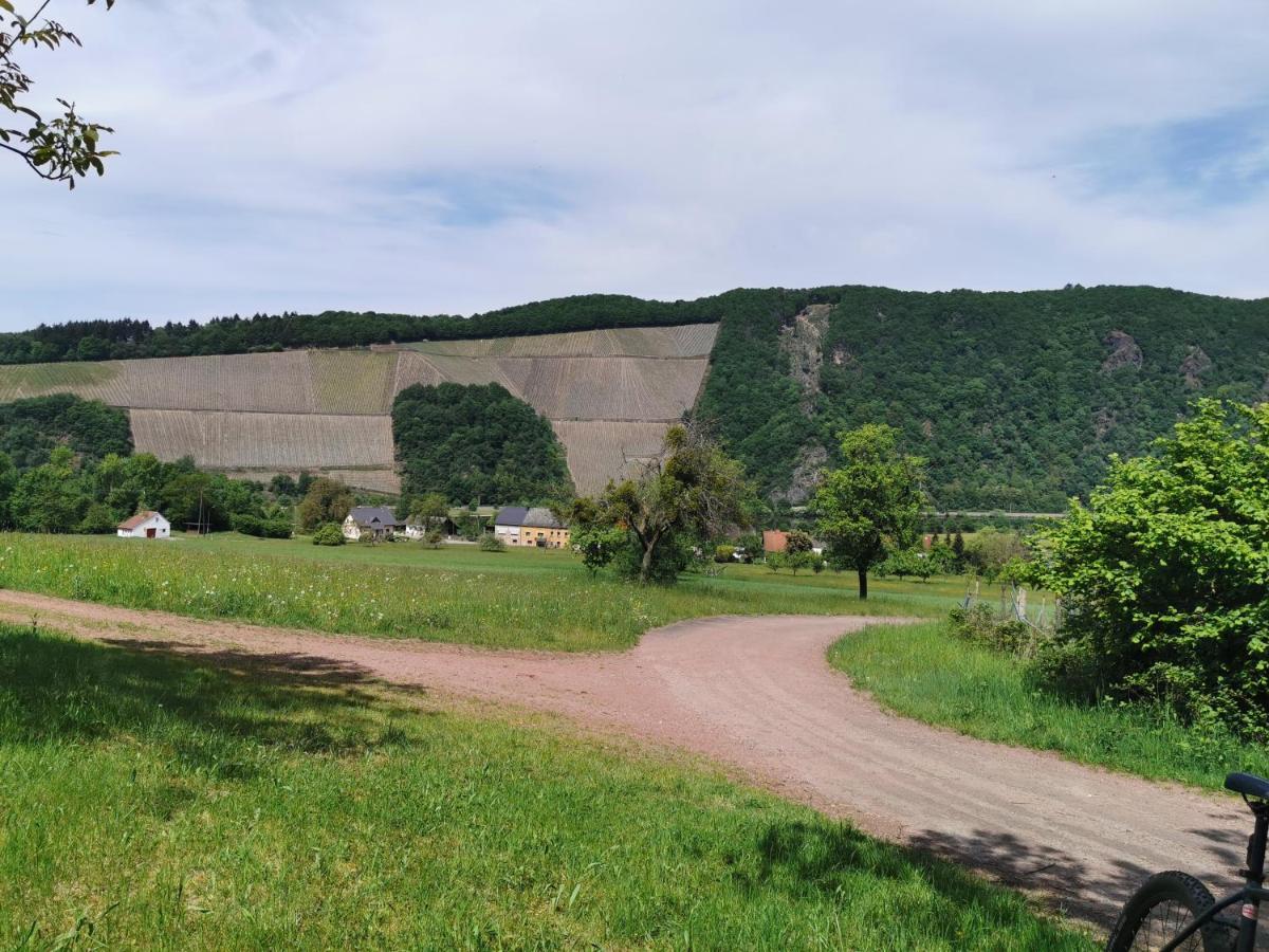 Gemuetliche 90 Qm Wohnung In Saarburg, Zentral Gelegen, Garten Mit Aussicht, Separater Eingang Esterno foto
